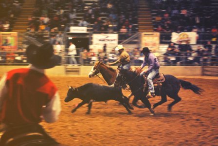 2 Men Riding On Horse