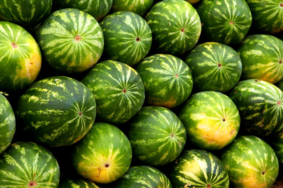 Watermelon Display