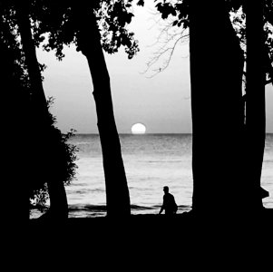 Silhouette Of People At Beach