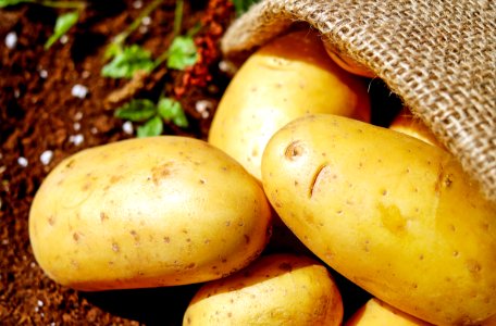 Closeup Photo Of Potatoes photo