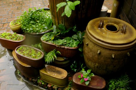 Pots And Plants photo