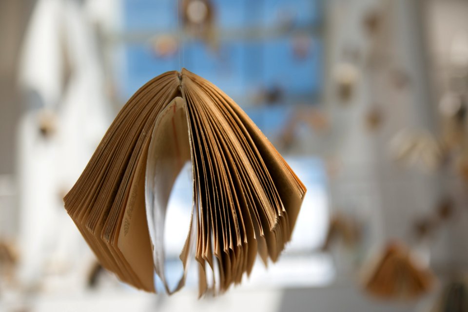 Open Book In Sunny Room
