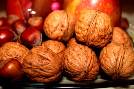 Almond Acorn And Red Apple photo