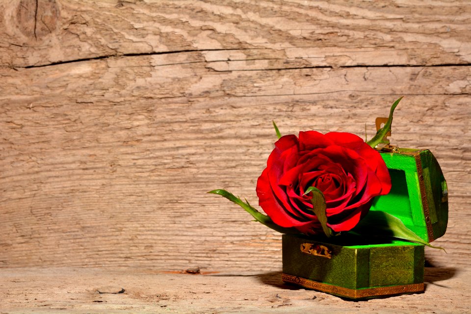 Red And Green Rose Inside Green And Brown Chest Box