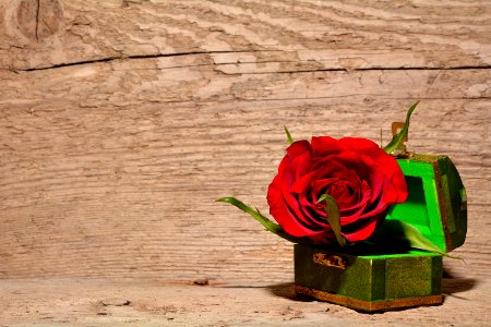 Red And Green Rose Inside Green And Brown Chest Box photo