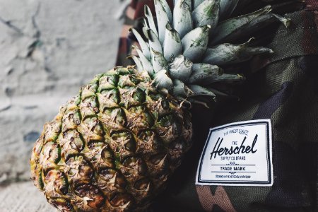Pineapple Resting On A Backpack