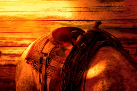 Brown Leather Horse Saddle photo