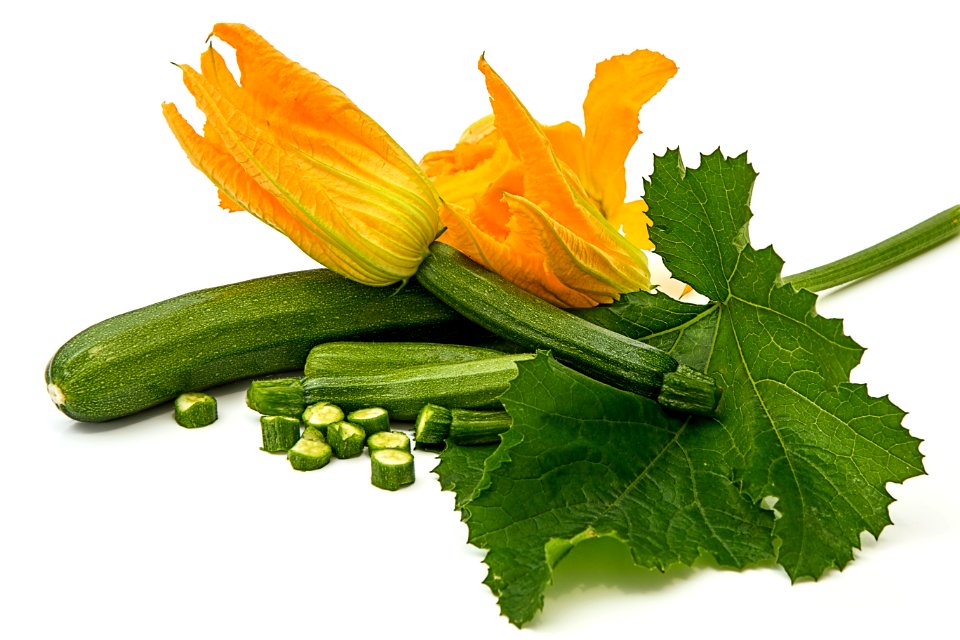 Green Elongated Vegetable With Yellow Flower