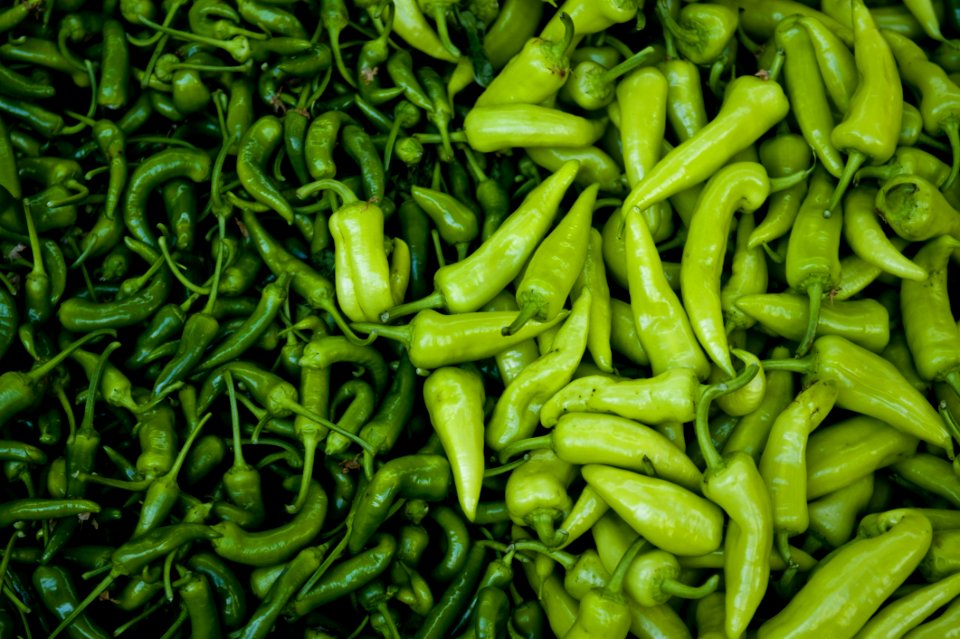 Green Pepper Background