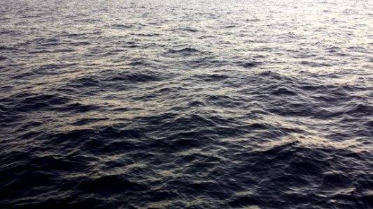 Waves In Ocean