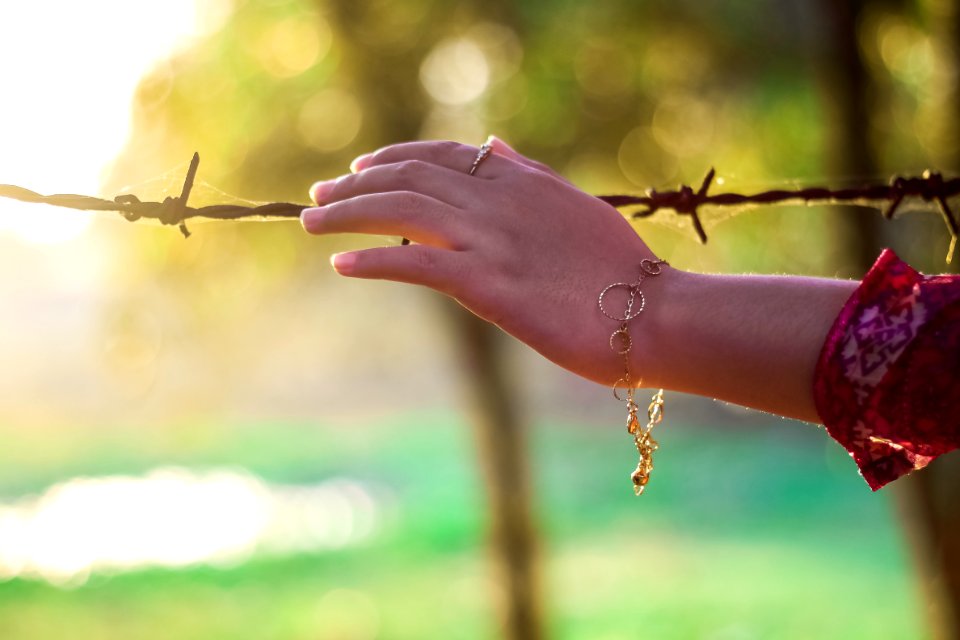 Left Persons Hand Holding A Bulb Wire