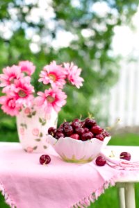 Pink Petaled Flower Beside White And Green Bowl Full Of Cherry