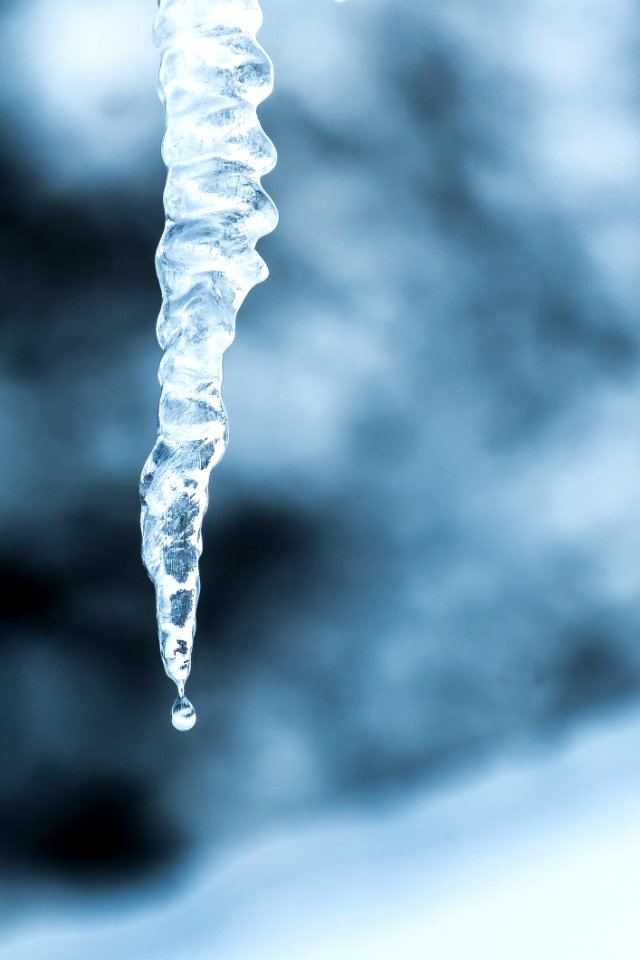 Melting Icicle photo