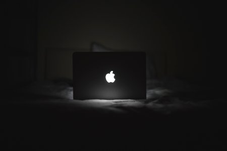 Illuminated Apple Notebook