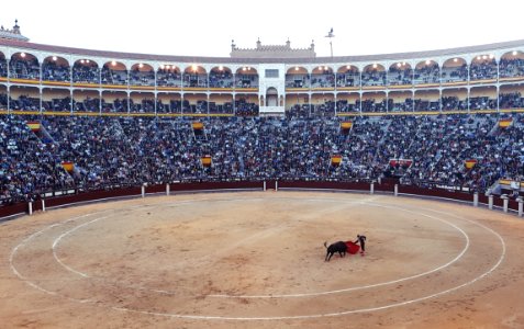 Bullfight Arena photo