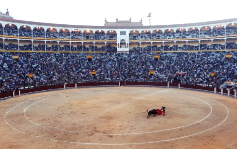 Bullfight Arena