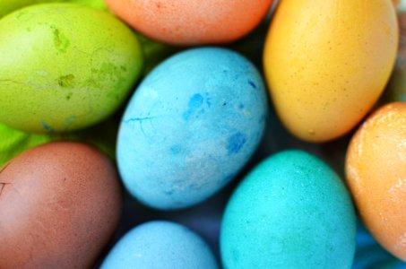 Colorful Easter Eggs photo