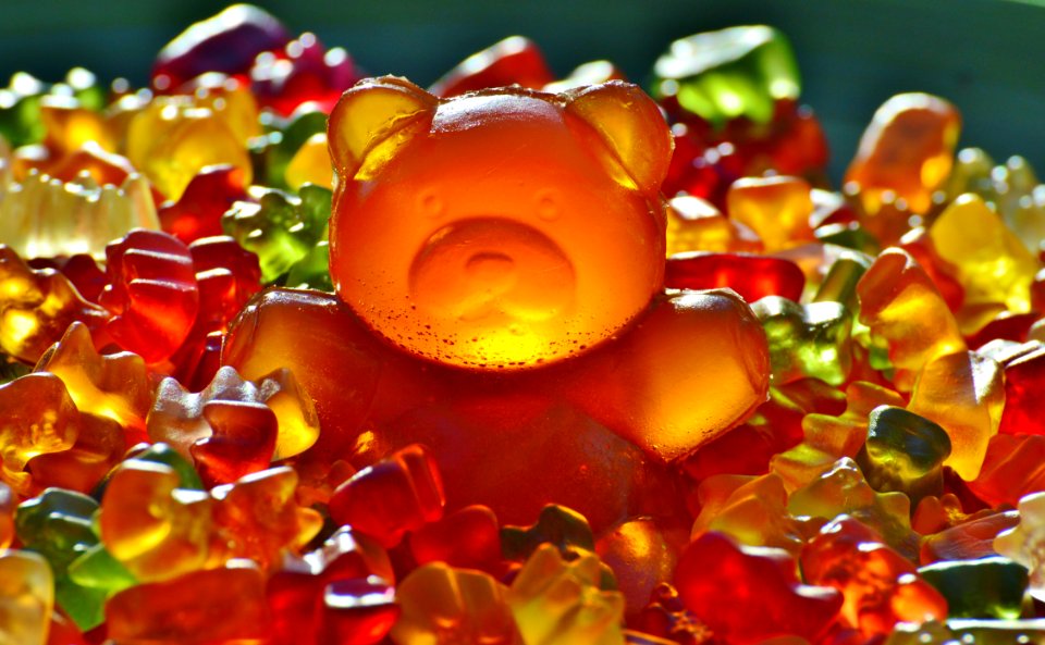Gummy Bear Candies