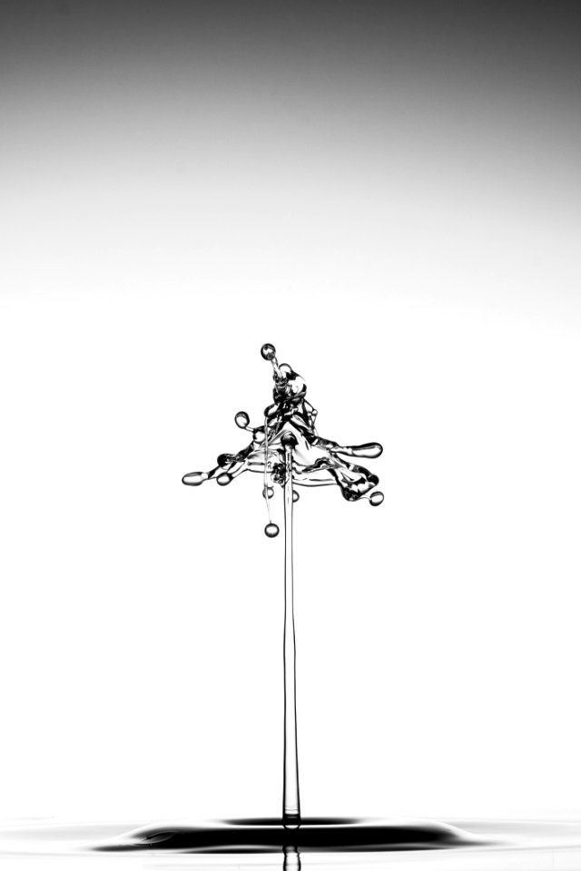 Black And White Illustration