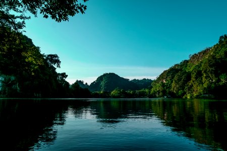 Tree Lined Lake Shores