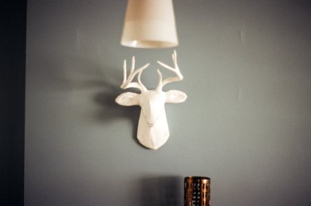 Ceramic Deer Head