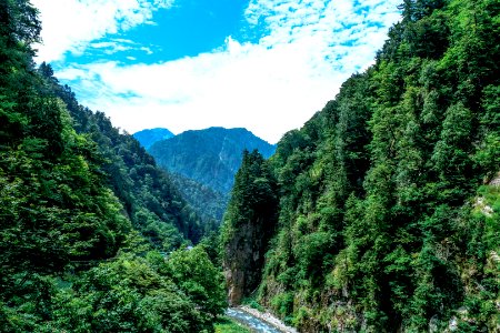 River Flowing Through Valley With Forest