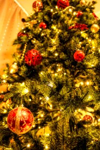 Decorated Christmas Tree