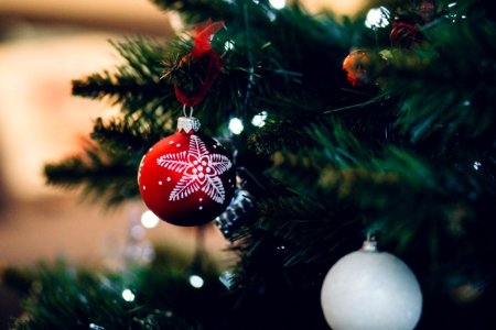 Close-up Of Christmas Tree photo