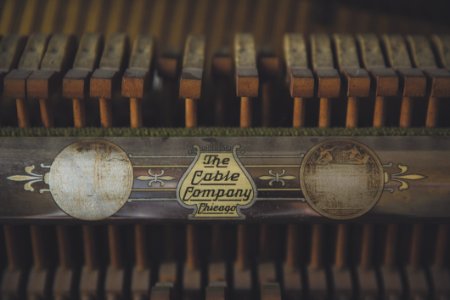 The Cable Company Typewriter Ribbon photo