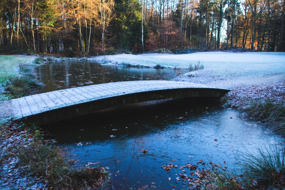 Frost On Bridge In Early Morning