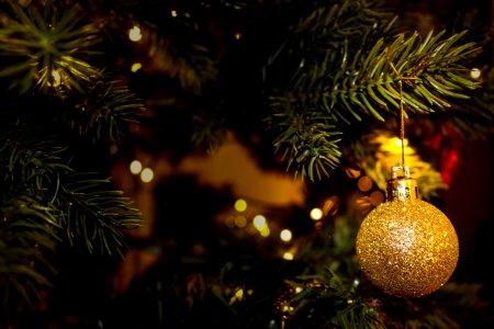 Gold Ornament On Christmas Tree photo