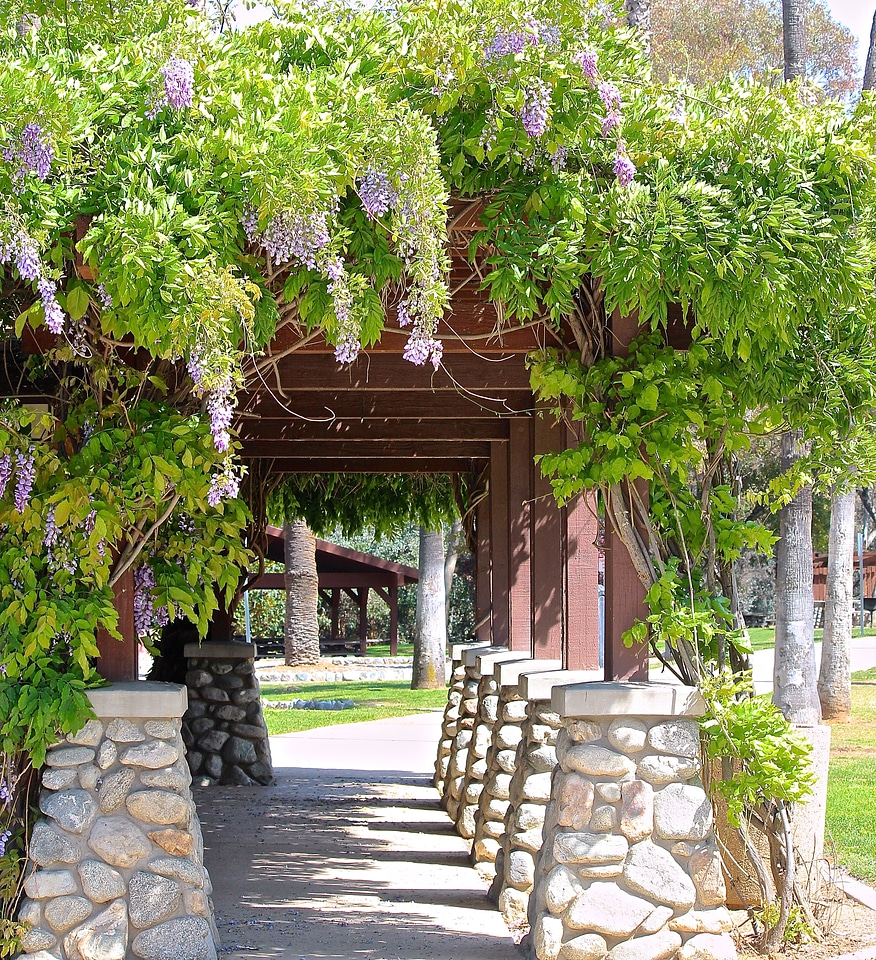 Arbor walk way shade
