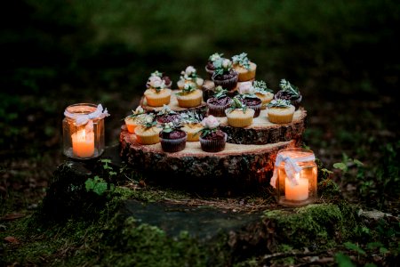 Cupcakes And Candles On Stump Surrounded By Moss