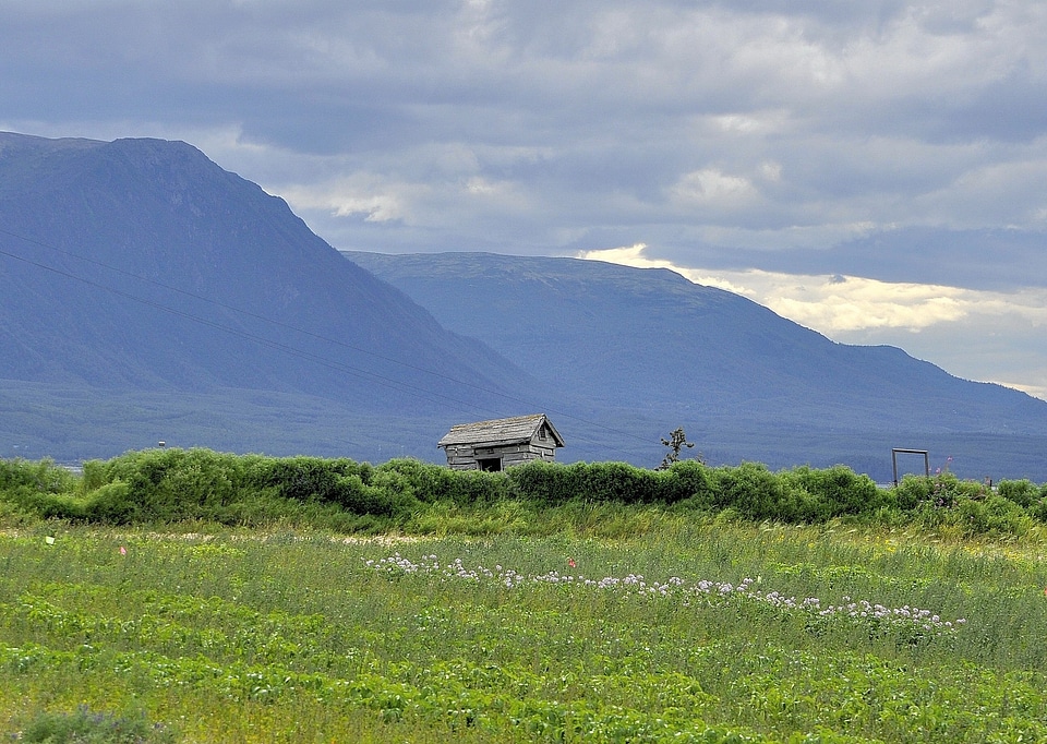 Alaska shack landscape