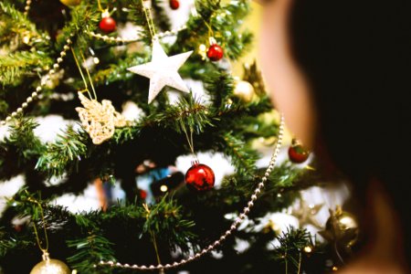 Christmas Ornaments On Tree photo