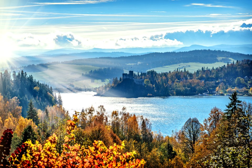 Autumn Forest Along Lake