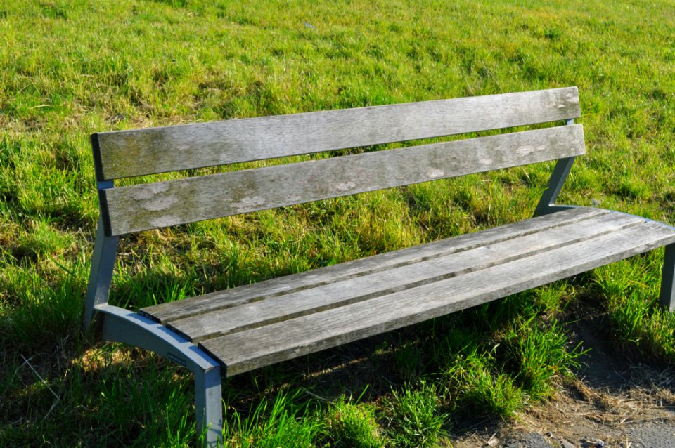 Empty Park Bench
