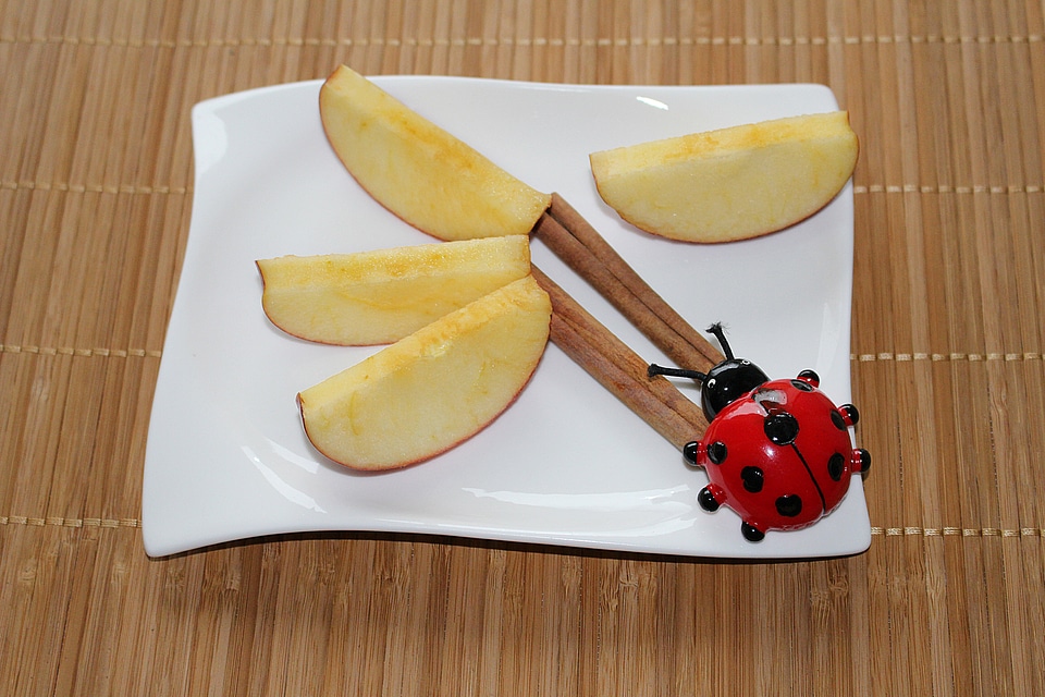 Apple slices cinnamon ladybug
