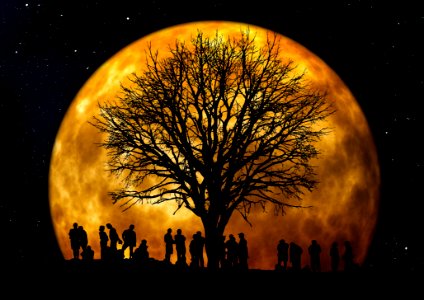Silhouette Of People Standing Neat Tree Under The Moon