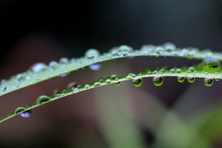 Close Up Photo Of Water Drops photo