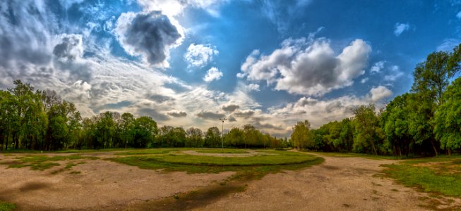 Brown And Green Forest Under Cloudy Sky