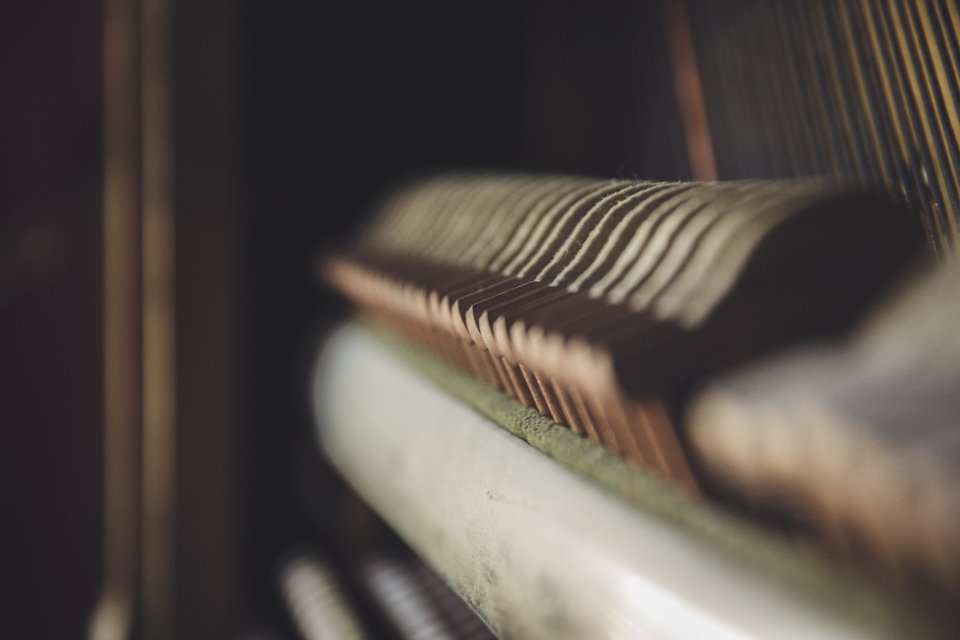 Close Up Of Piano Hammers