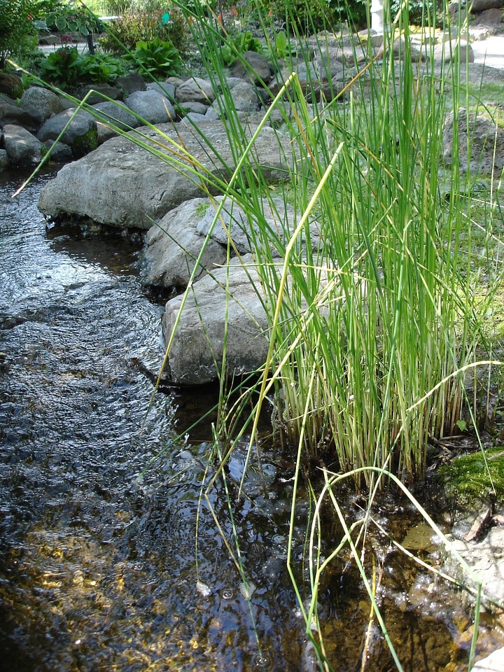 Landscape wilderness scenery photo