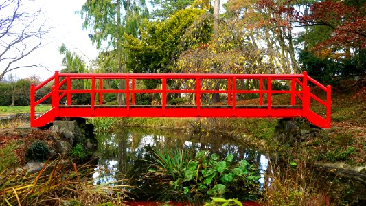 Red Bridge Over Creek