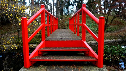 Red Bridge In Woods photo