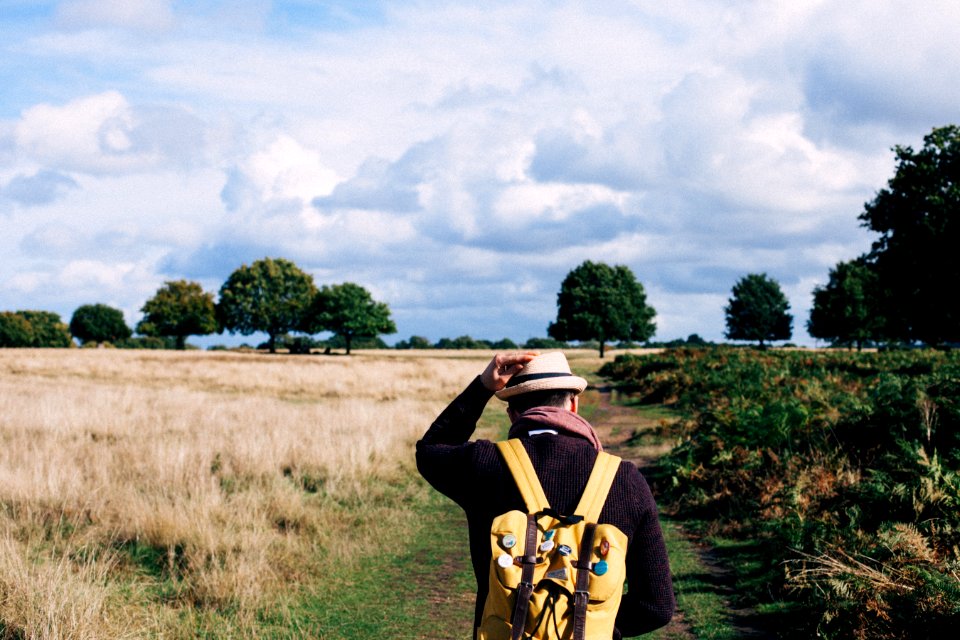 Man In Black Long Sleeve Shirt Walking Between Grass During Daytime