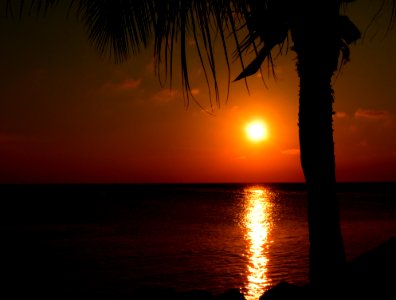Sunset In Barbados photo
