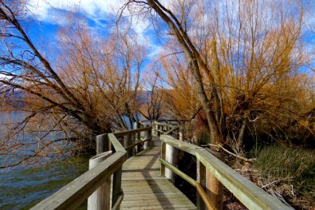 Wooden Boardwalk On Waters Edge photo