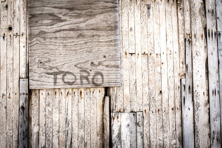 Brown Toro Painted Wooden Wall photo