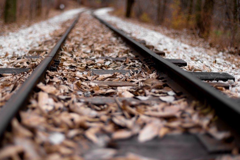 Railroad Tracks With Leaves